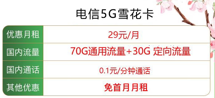 青島電信5G雪花卡100G全國(guó)通用流量+0.1元/分鐘通話+首月免月租 僅需29元